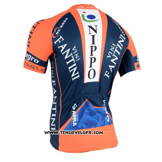 2015 Maillot Ciclismo Vini Fantini Orange et Bleu Manches Courtes et Cuissard